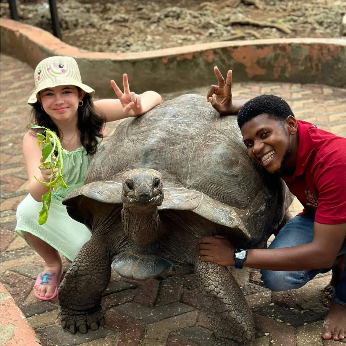 Prison Island, Nakupenda & Stone Town Tour (Private) in Zanzibar