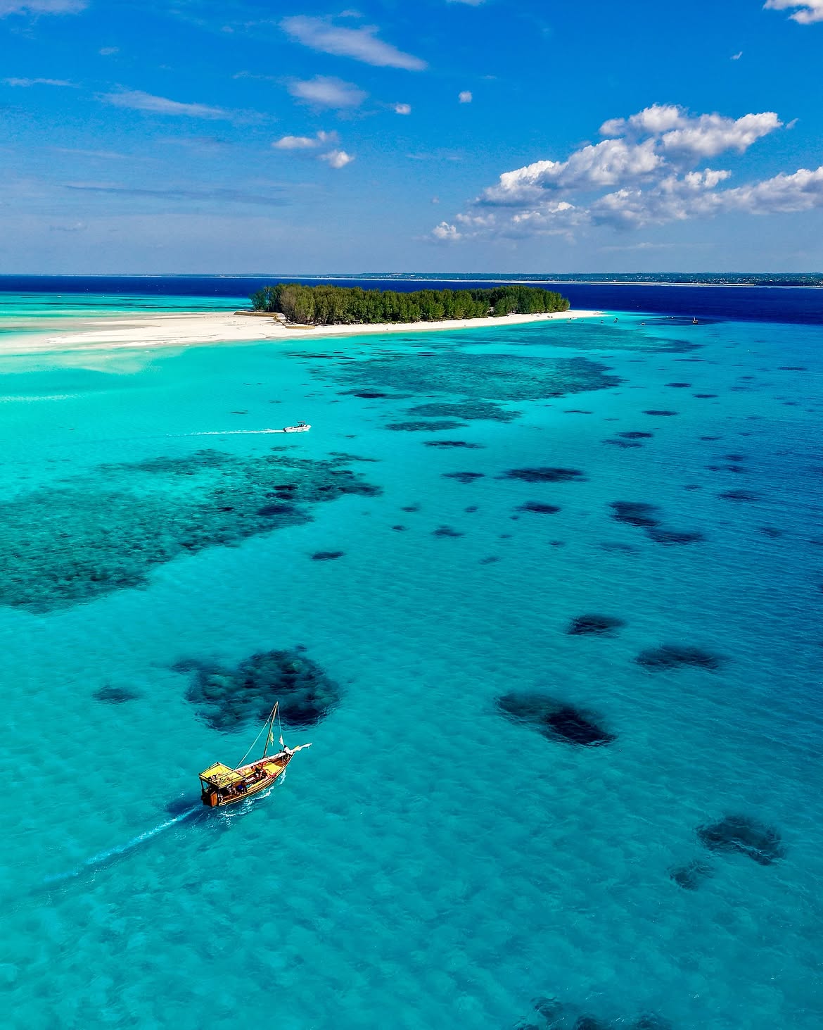Mnemba Dolphins, Clear Kayak & Kendwa Beach in Zanzibar